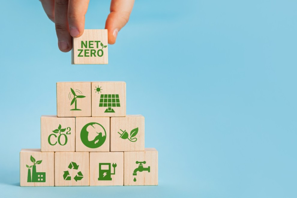 5 Steps to a Net Zero Objective for Your Organizations